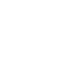 Global Outsourcing 100